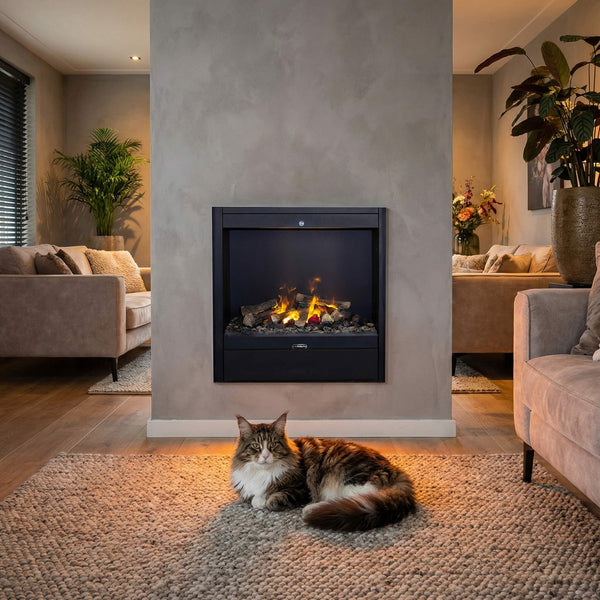 Electric Fireplace Xaralyn Albany