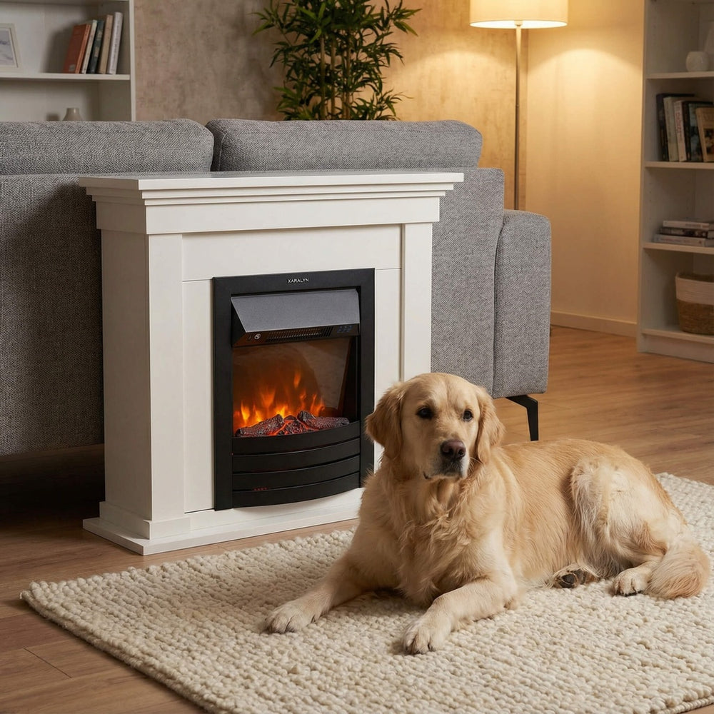 Electric Fireplace Xaralyn Calgary