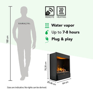 Electric Fireplace Xaralyn Albany