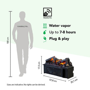 Electric Fireplace Xaralyn Basket Cassette 600 Water Vapor