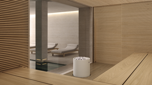 Modern sauna interior with wooden walls and a white electric sauna heater
