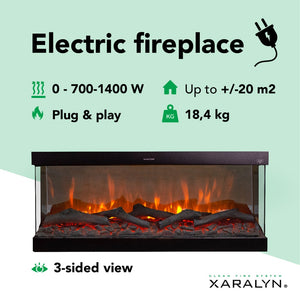 Electric Fireplace Xaralyn Disegno S