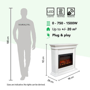 Electric Fireplace Xaralyn Flex