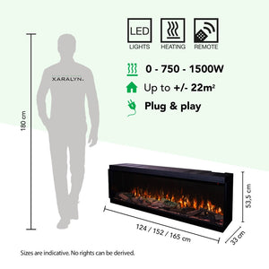 Electric fireplace Xaralyn Fogo Forest