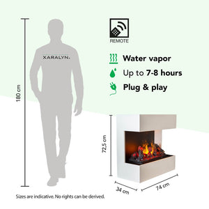 Electric Fireplace Xaralyn Lucca
