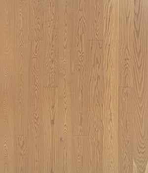 Punatammi Zion_150px_RGB (1).jpg__PID:9d37635c-c228-4ef9-8e33-e5c9b4a566c1