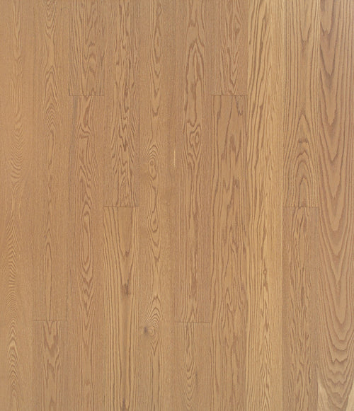 Punatammi Zion_150px_RGB (1).jpg__PID:9d37635c-c228-4ef9-8e33-e5c9b4a566c1