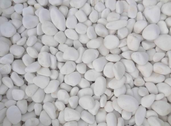 Xaralyn Biotakka white stone set