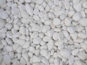 Xaralyn Biotakka white stone set