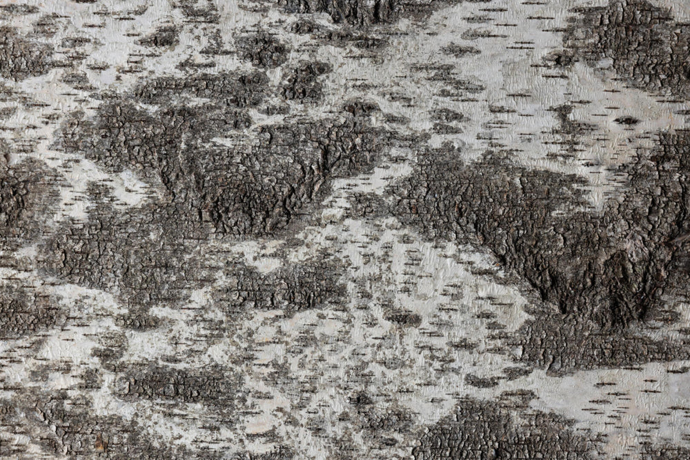 EmotionWood Square 600 Birchbark Wooden Panel - 4m²