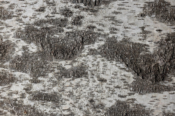 EmotionWood Square 600 Birchbark Wooden Panel - 4m²