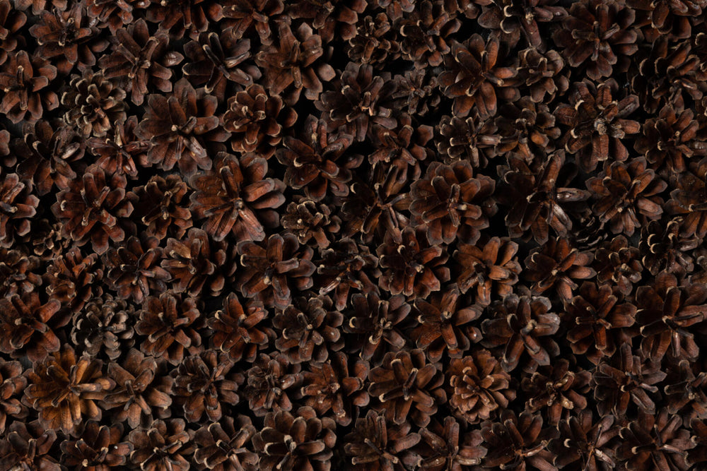 EmotionWood PineCone Wooden Panel - 4m²