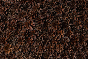 EmotionWood PineCone Wooden Panel - 4m²