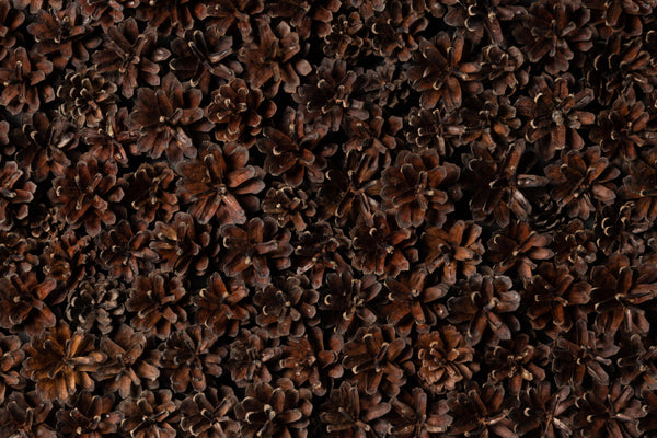 EmotionWood PineCone Wooden Panel - 4m²