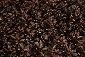 EmotionWood PineCone Wooden Panel - 4m²