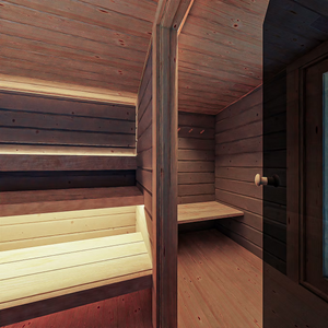 Wooden sauna interior with benches and a door.