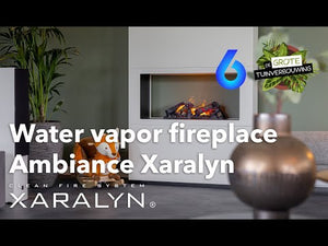 Electric Fireplace Xaralyn Basket Cassette 600 Water Vapor