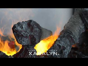 Electric Fireplace Xaralyn Built-In Unit Cassette 600 Water Vapor